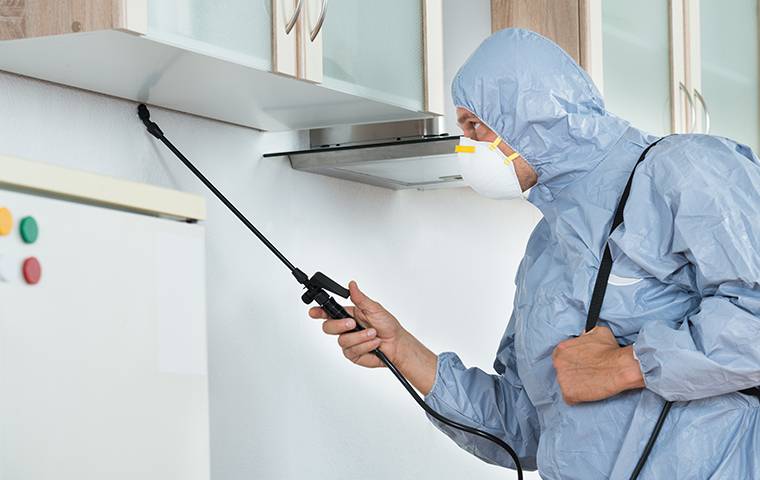 Top Pest Exterminating Philadelphia Pest Control Bed Bugs